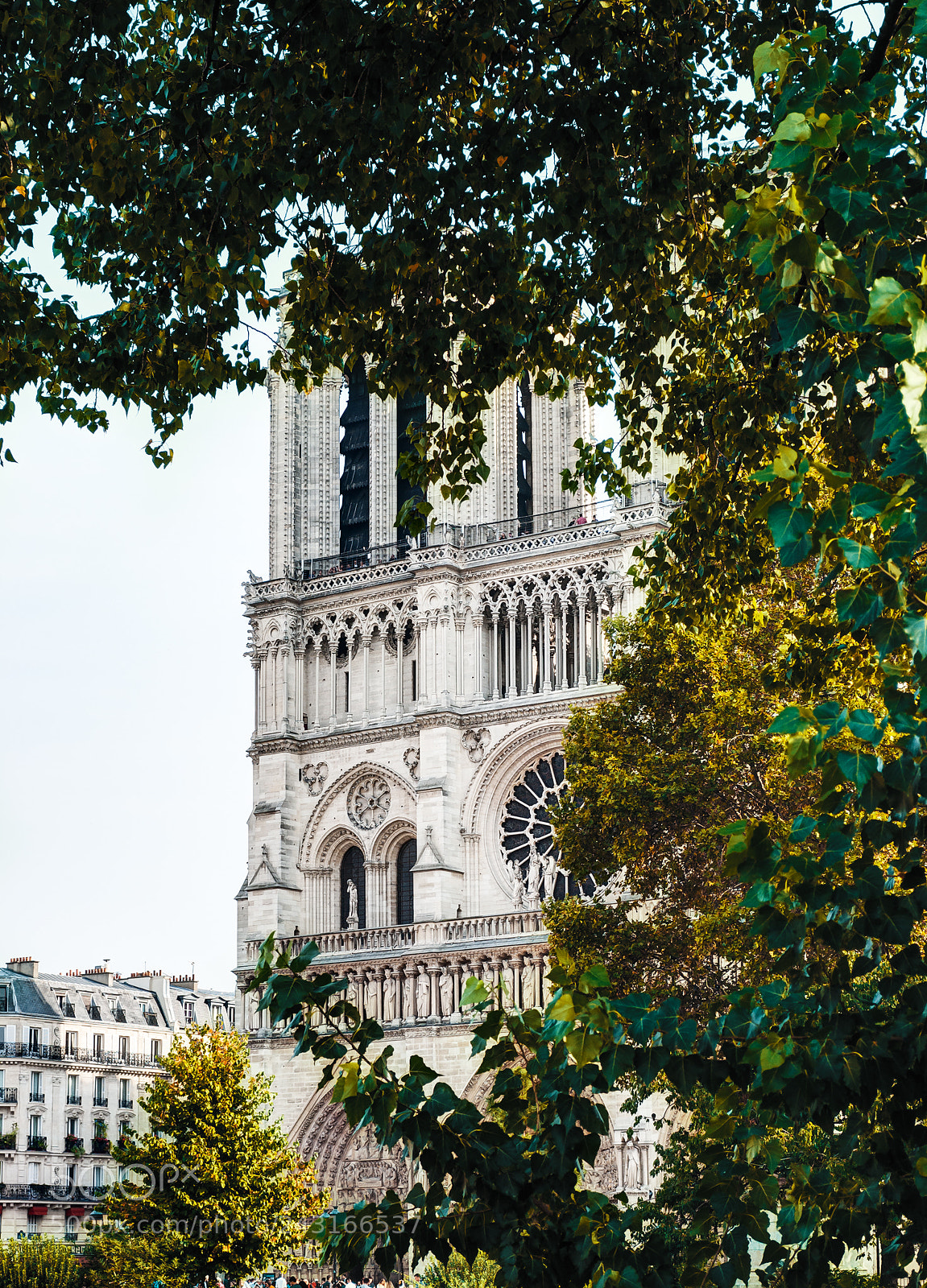 Nikon D3000 sample photo. Notre dame de paris. photography