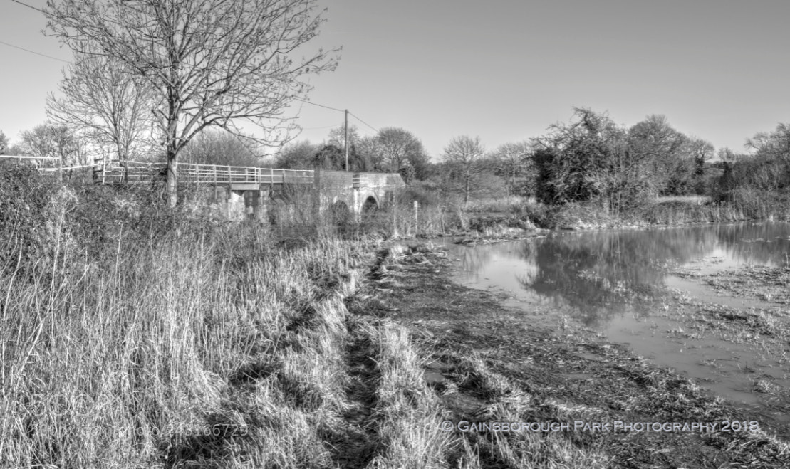 Olympus OM-D E-M10 II sample photo. Shuttington bridge photography