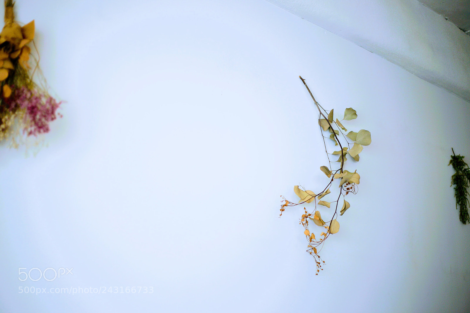 Canon EOS 6D + Canon EF 50mm F1.8 STM sample photo. Wall photography