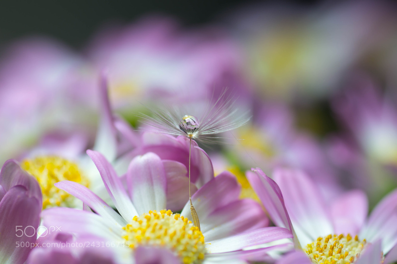 Nikon D3200 sample photo. Untitled photography