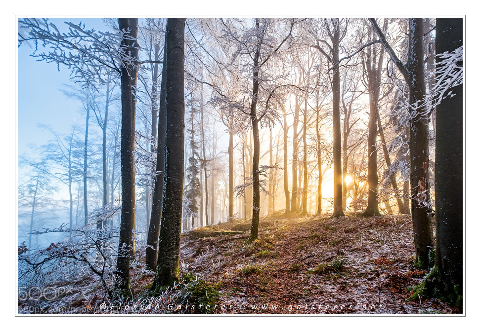 Fujifilm X-T2 sample photo. Winterstimmung photography