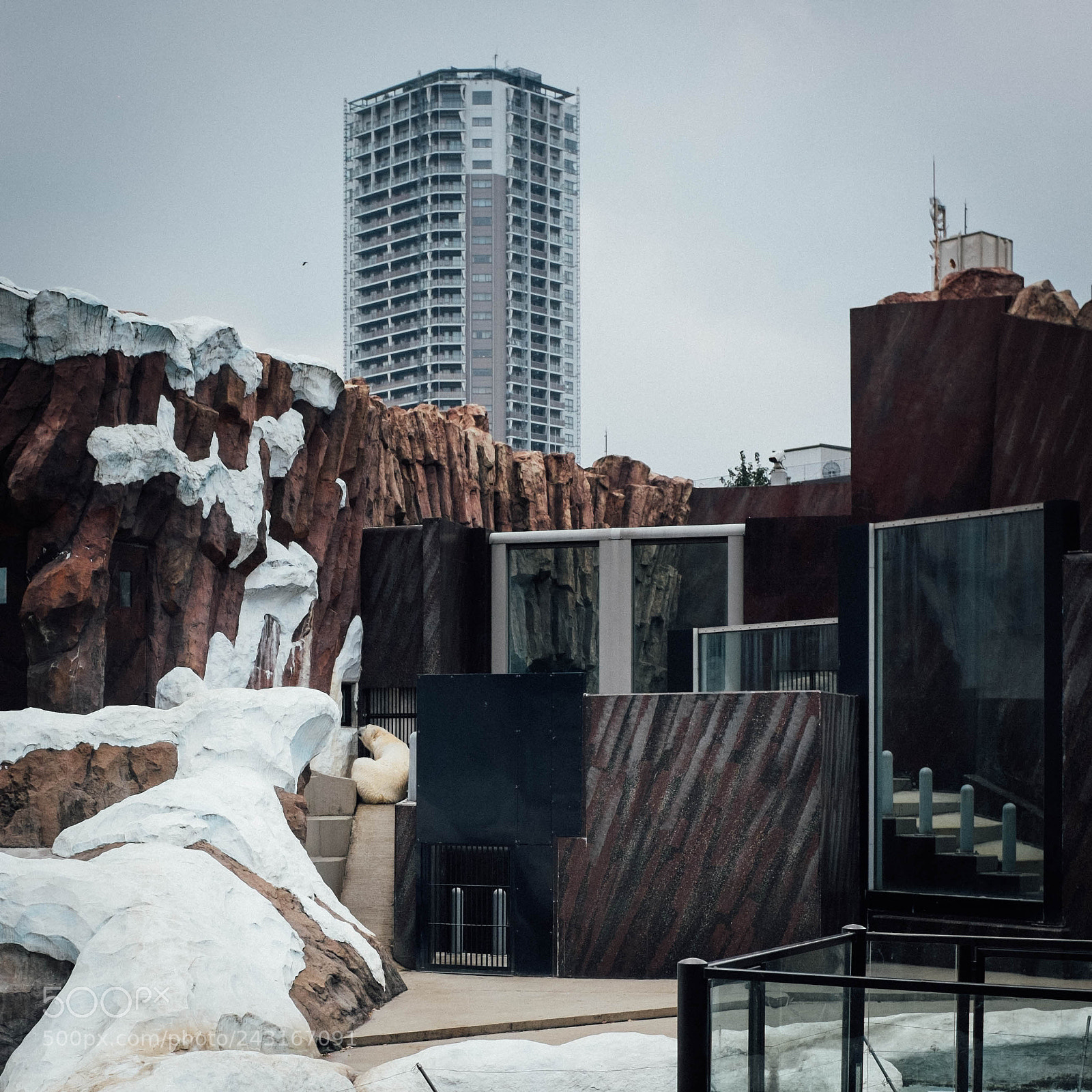 Fujifilm X100T sample photo. Sad bear photography