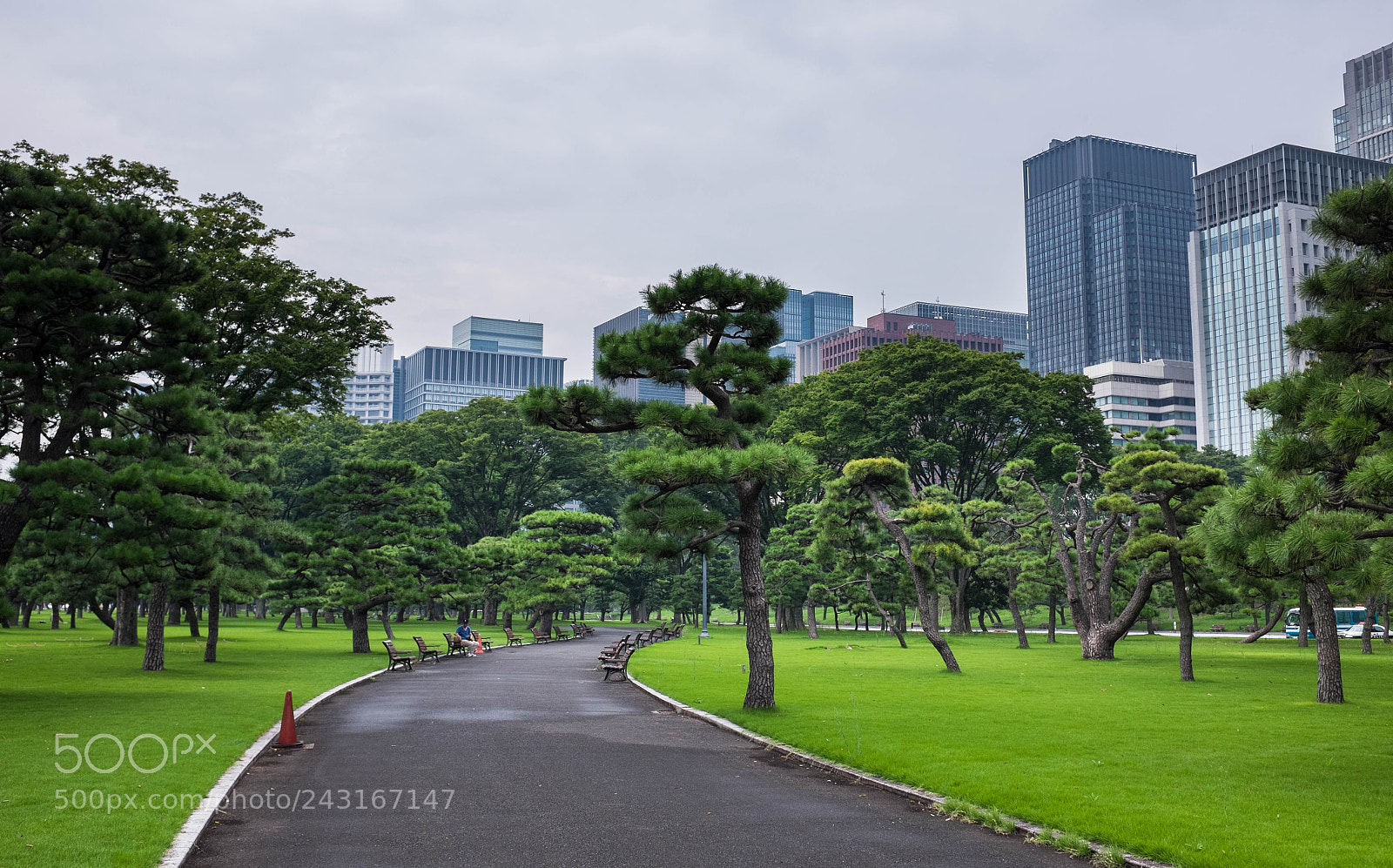 Fujifilm X100T sample photo. Chiyoda park photography