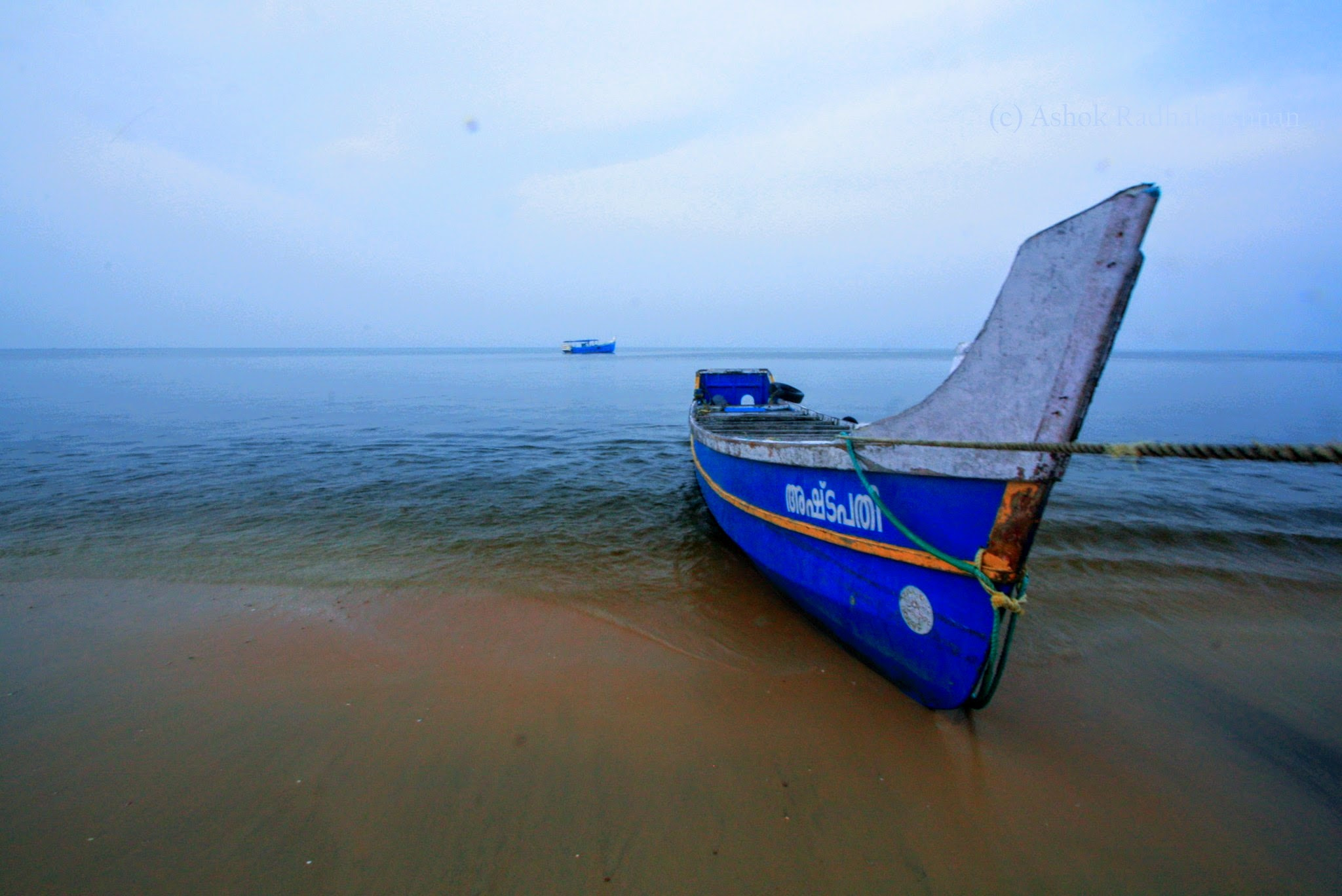 Canon EOS 1000D (EOS Digital Rebel XS / EOS Kiss F) sample photo. The craving photography