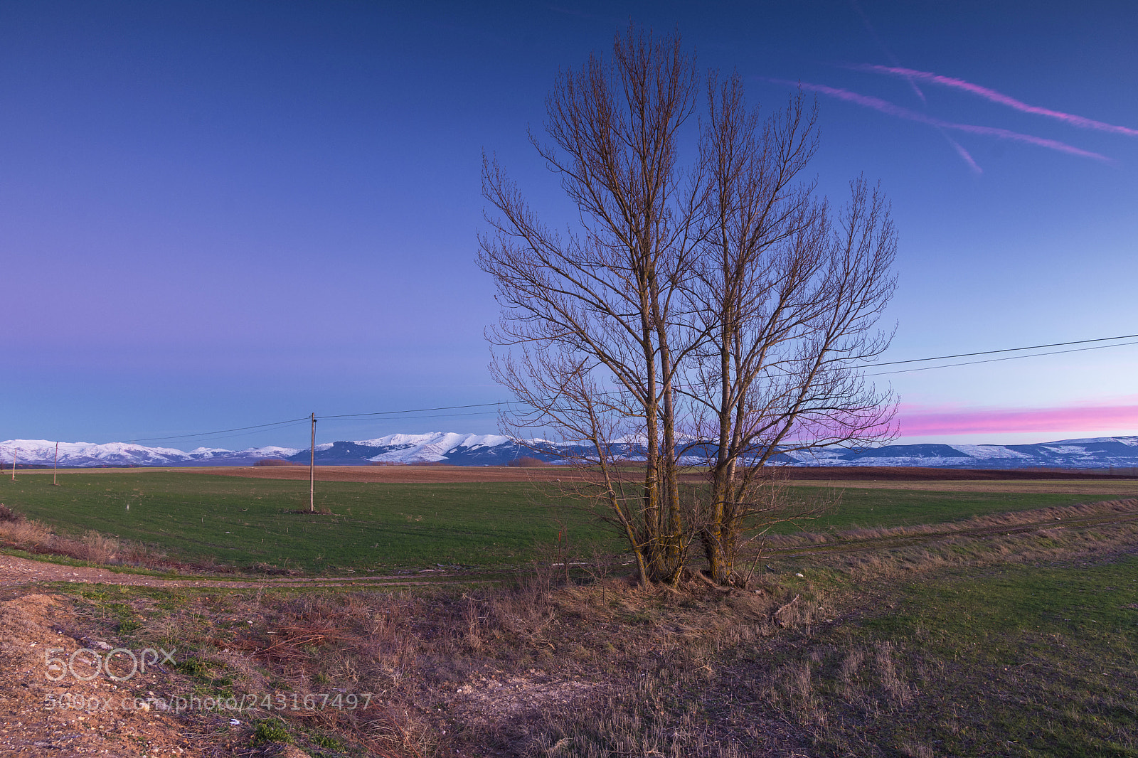 Nikon D7200 sample photo. Sunset in pink photography