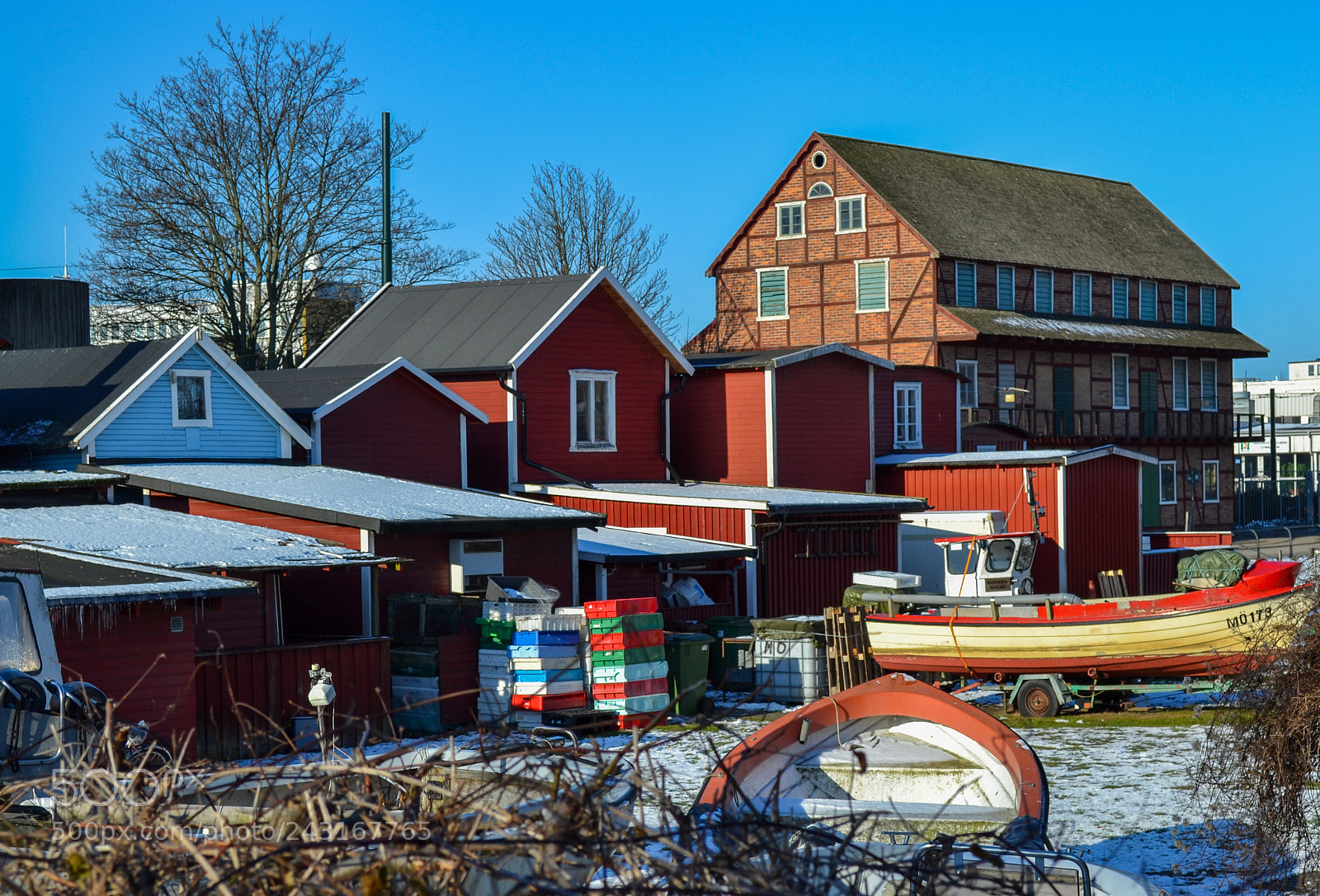 Nikon D3100 sample photo. Backyard photography
