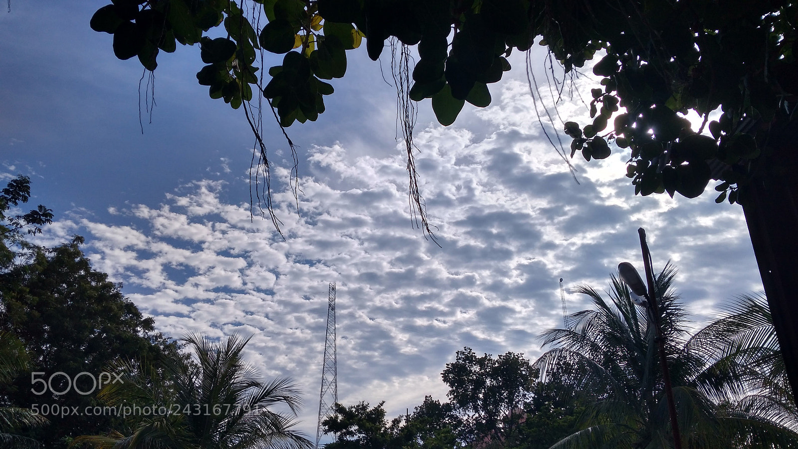 Xiaomi Redmi 4A sample photo. Untitled photography