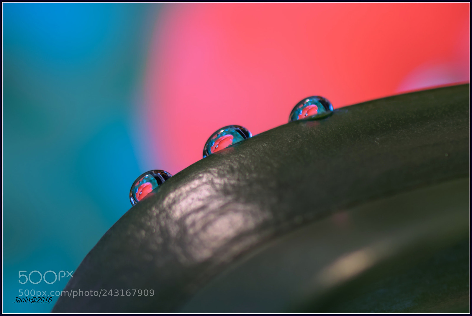 Canon EOS 77D (EOS 9000D / EOS 770D) sample photo. The reflection of the photography