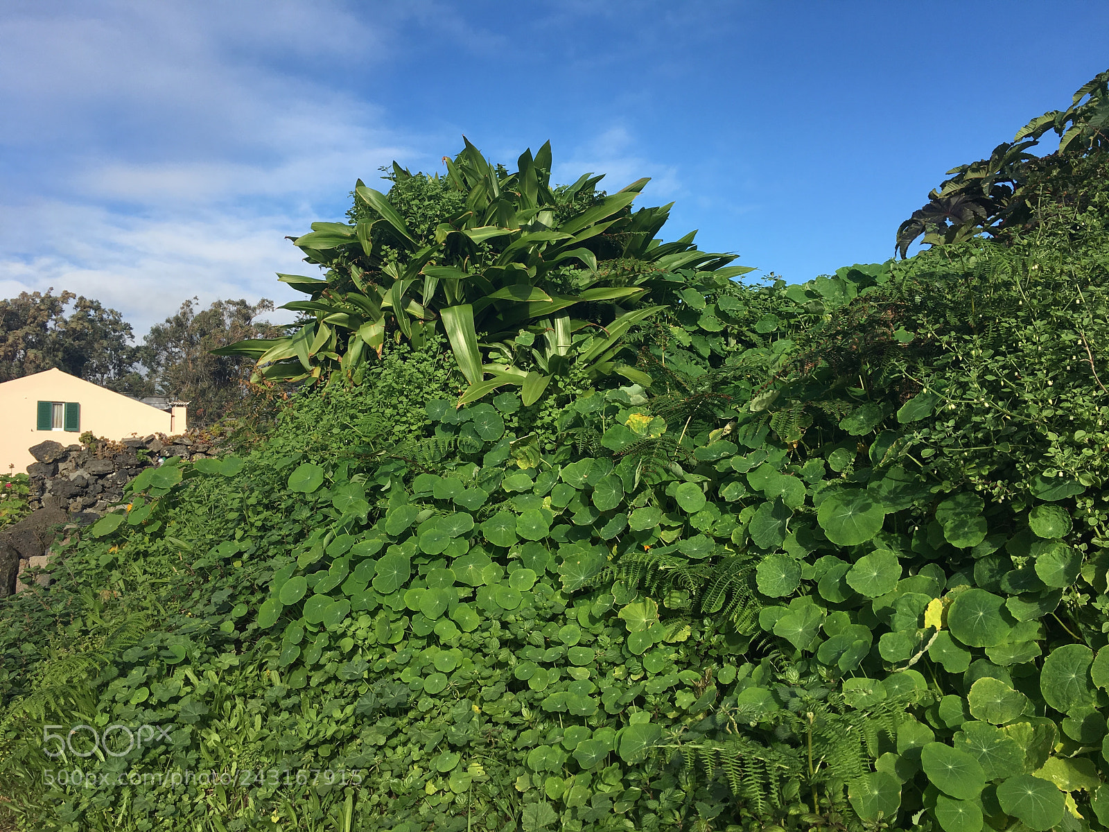 Apple iPhone 6s Plus sample photo. Untitled photography
