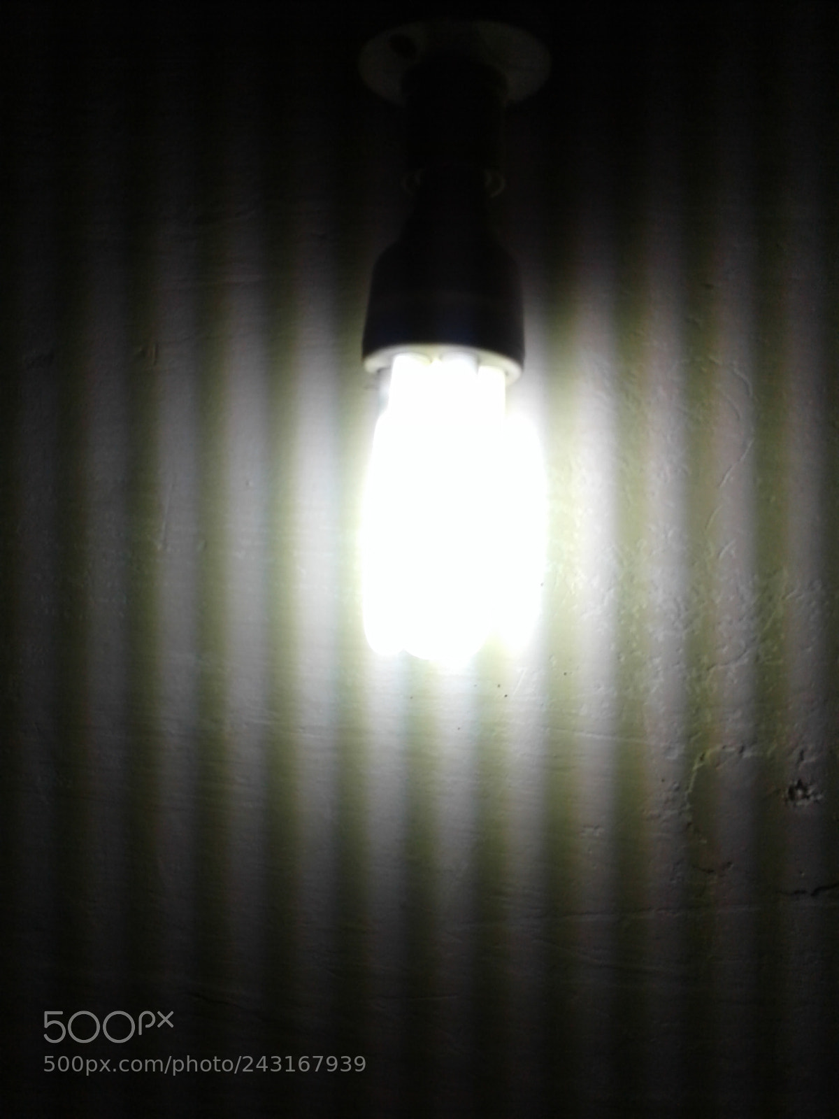 Samsung Galaxy J2 sample photo. Vibrant bulb photography