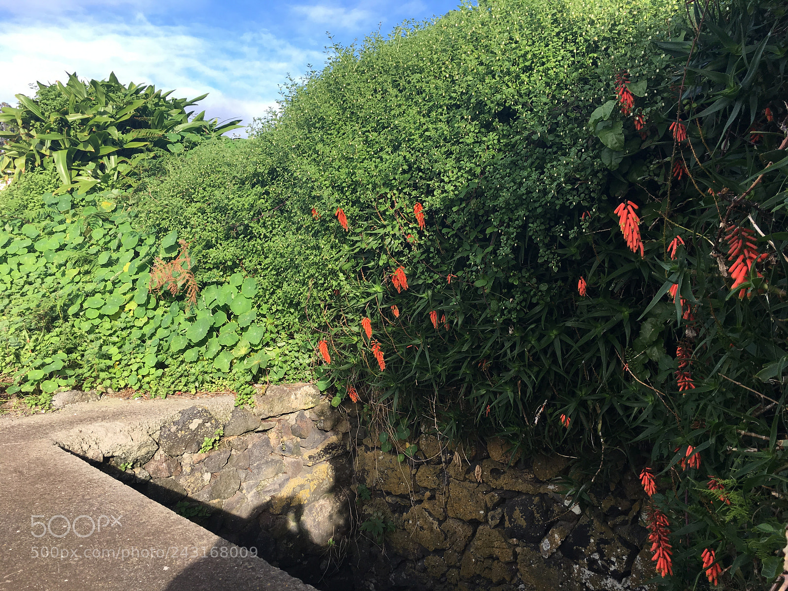 Apple iPhone 6s Plus sample photo. Untitled photography