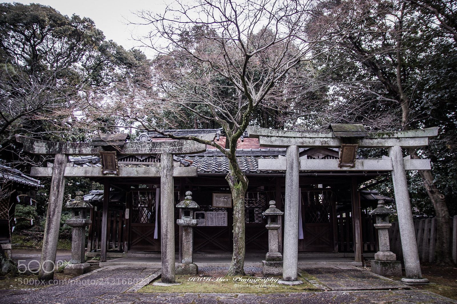 Canon EOS 550D (EOS Rebel T2i / EOS Kiss X4) sample photo. 新日吉神社 photography
