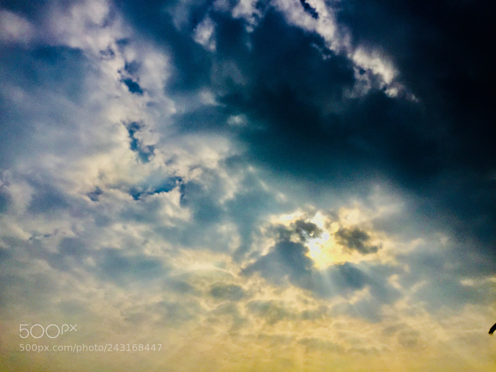 Apple iPhone 6 sample photo. Sun rays photography