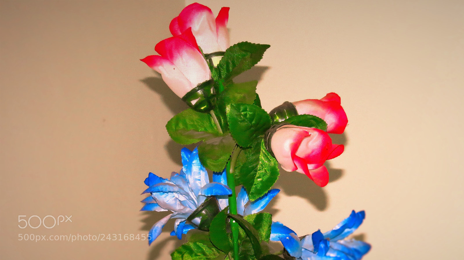 Canon PowerShot SX40 HS sample photo. Flower photography