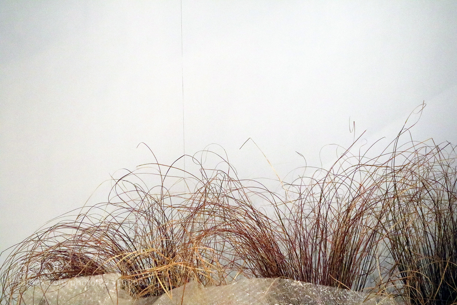 Canon EOS M3 sample photo. Hay wall photography