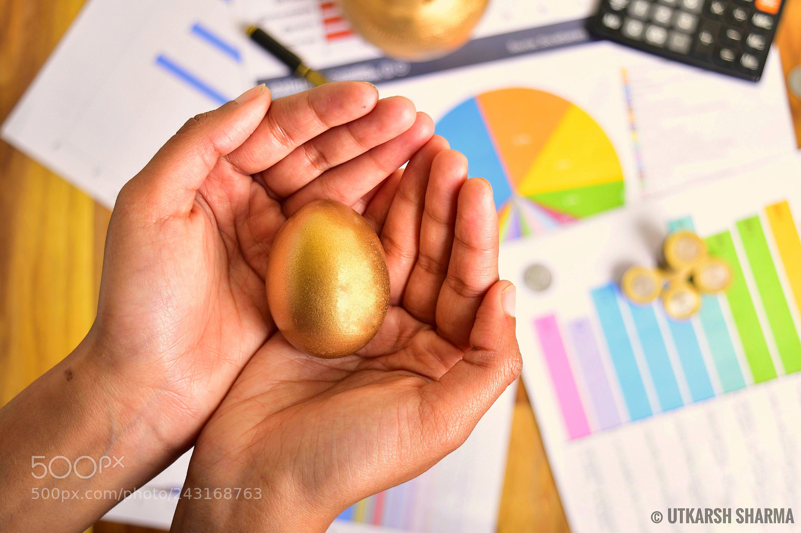 Nikon D5500 sample photo. Golden egg photography