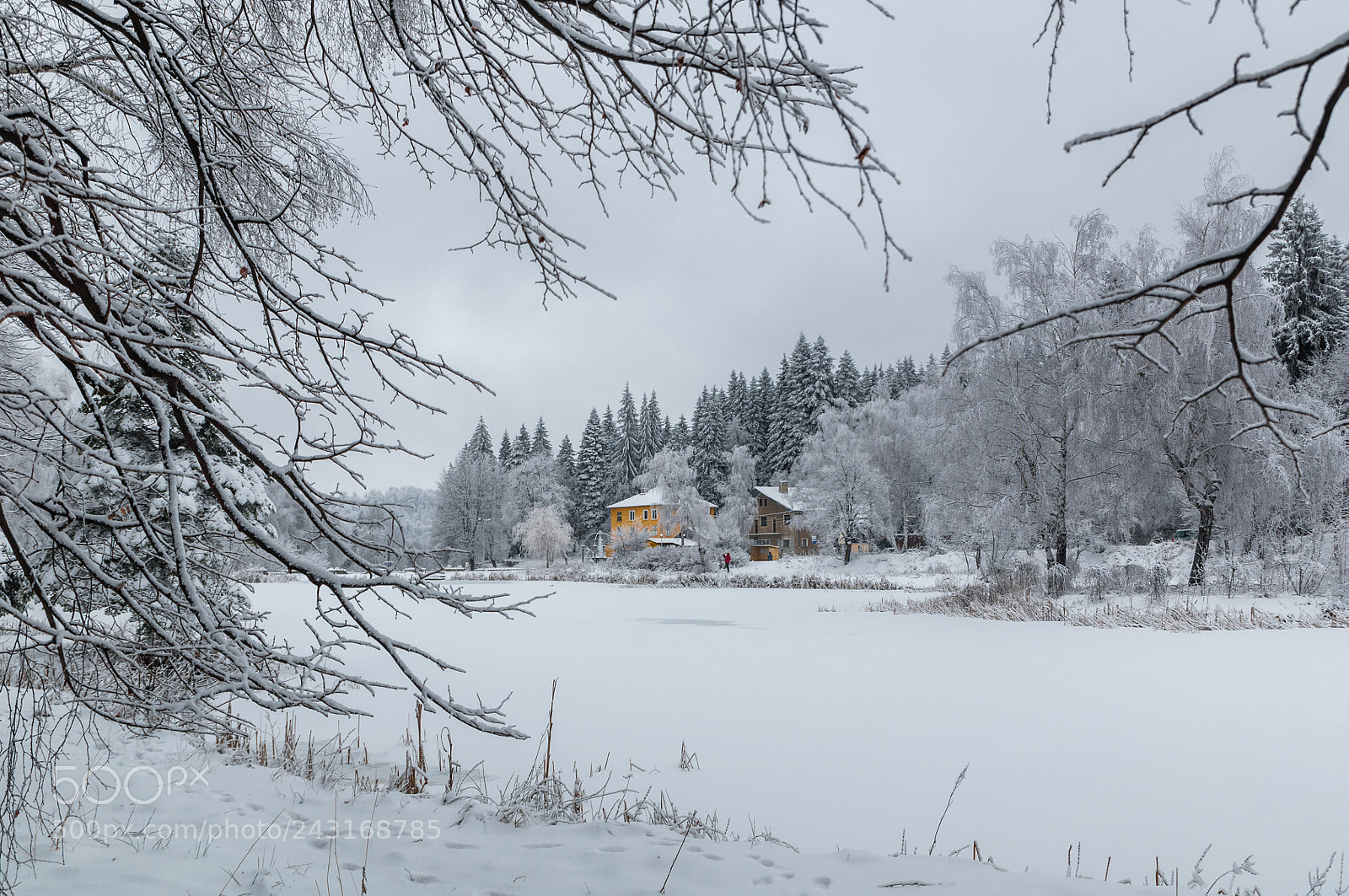 Nikon D5000 sample photo. The frozen lake photography