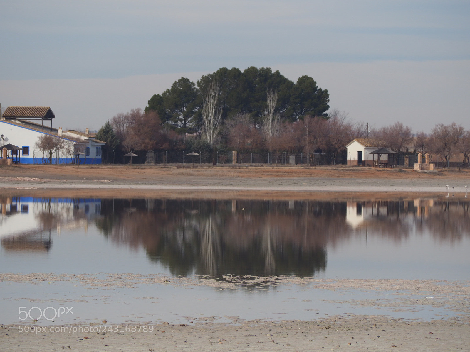 Olympus OM-D E-M10 II sample photo. Reflejos photography