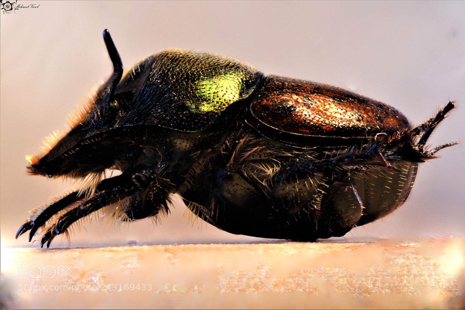 Nikon D800 sample photo. Untitled photography