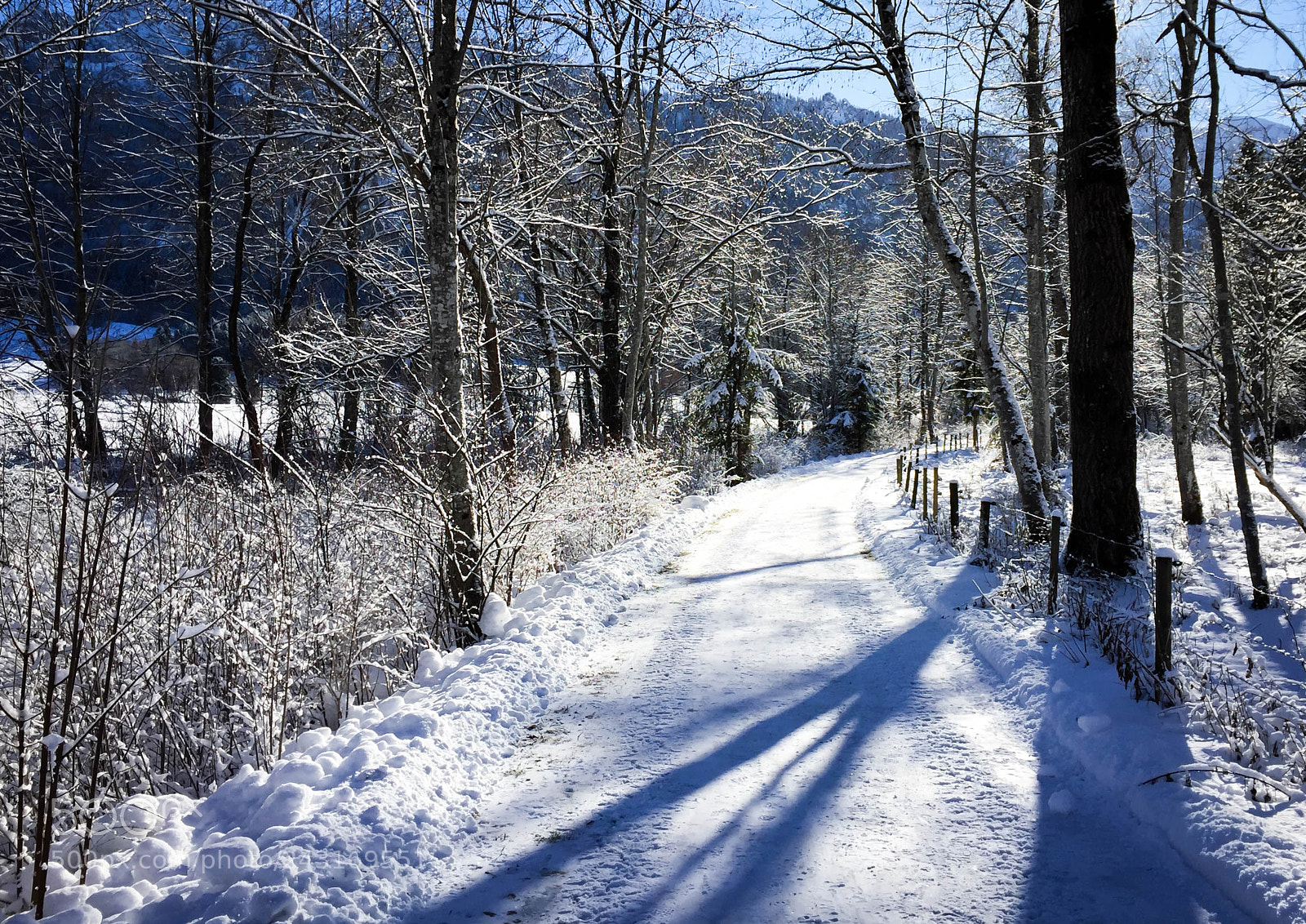 Apple iPhone 6 sample photo. Sunny winterwalk photography