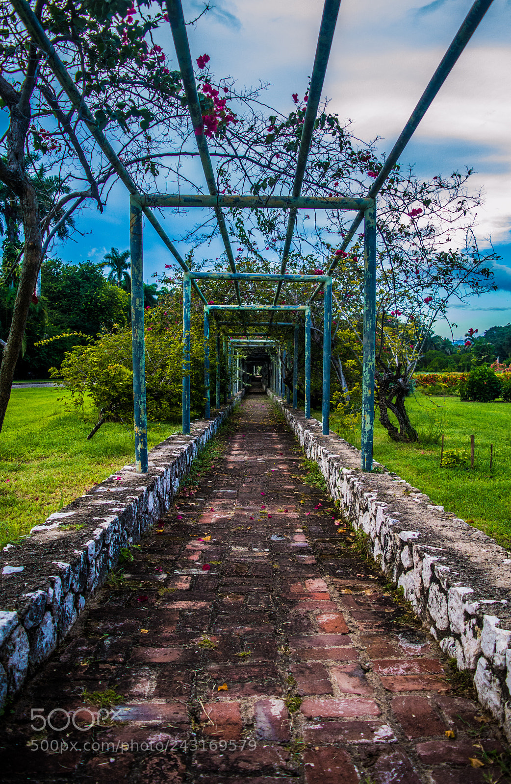 Nikon D3200 sample photo. Stick to the path photography