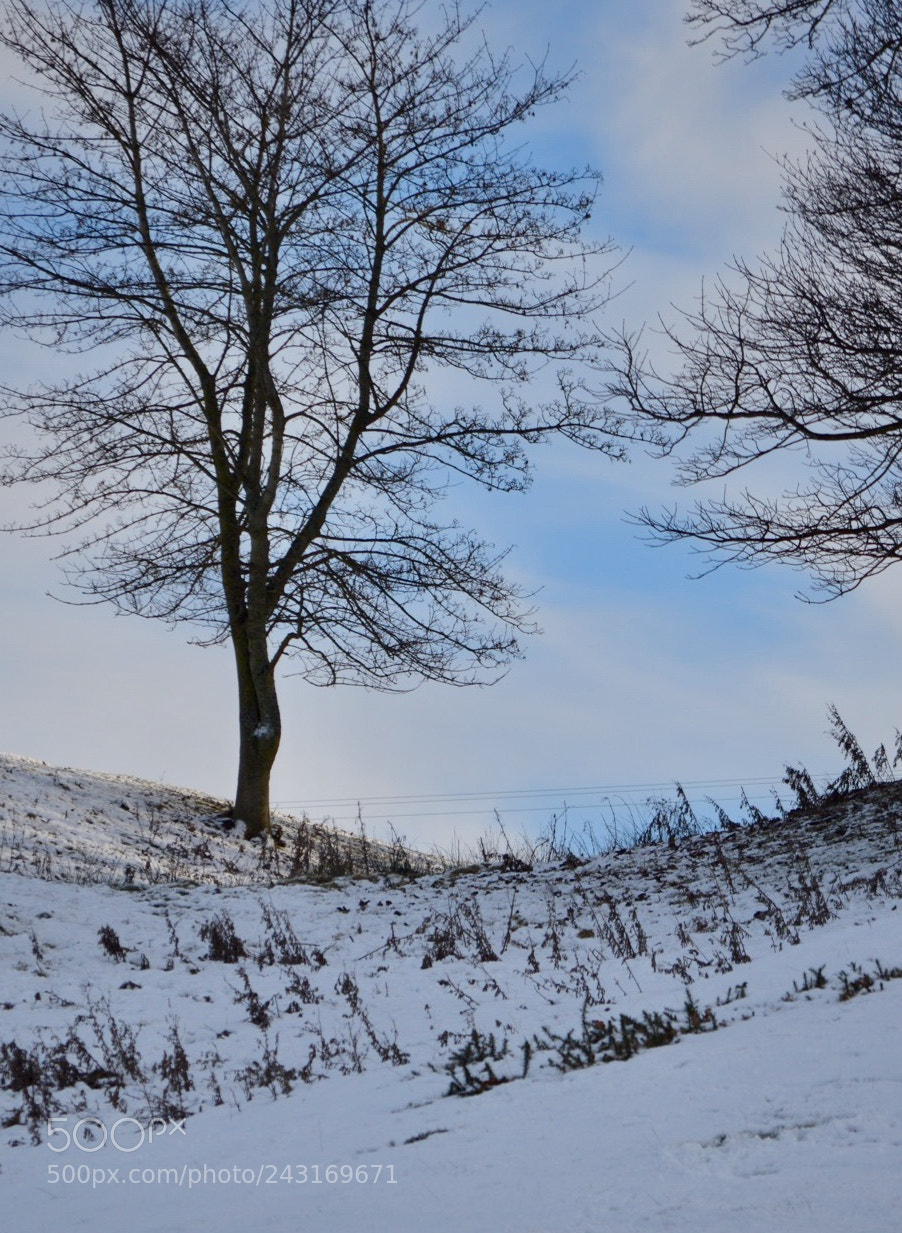 Nikon D3200 sample photo. Untitled photography