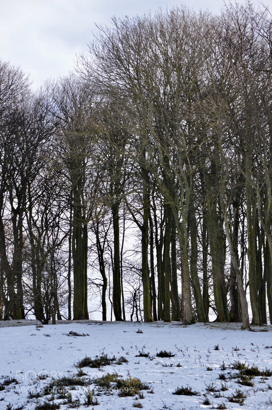 Nikon D3200 sample photo. Untitled photography