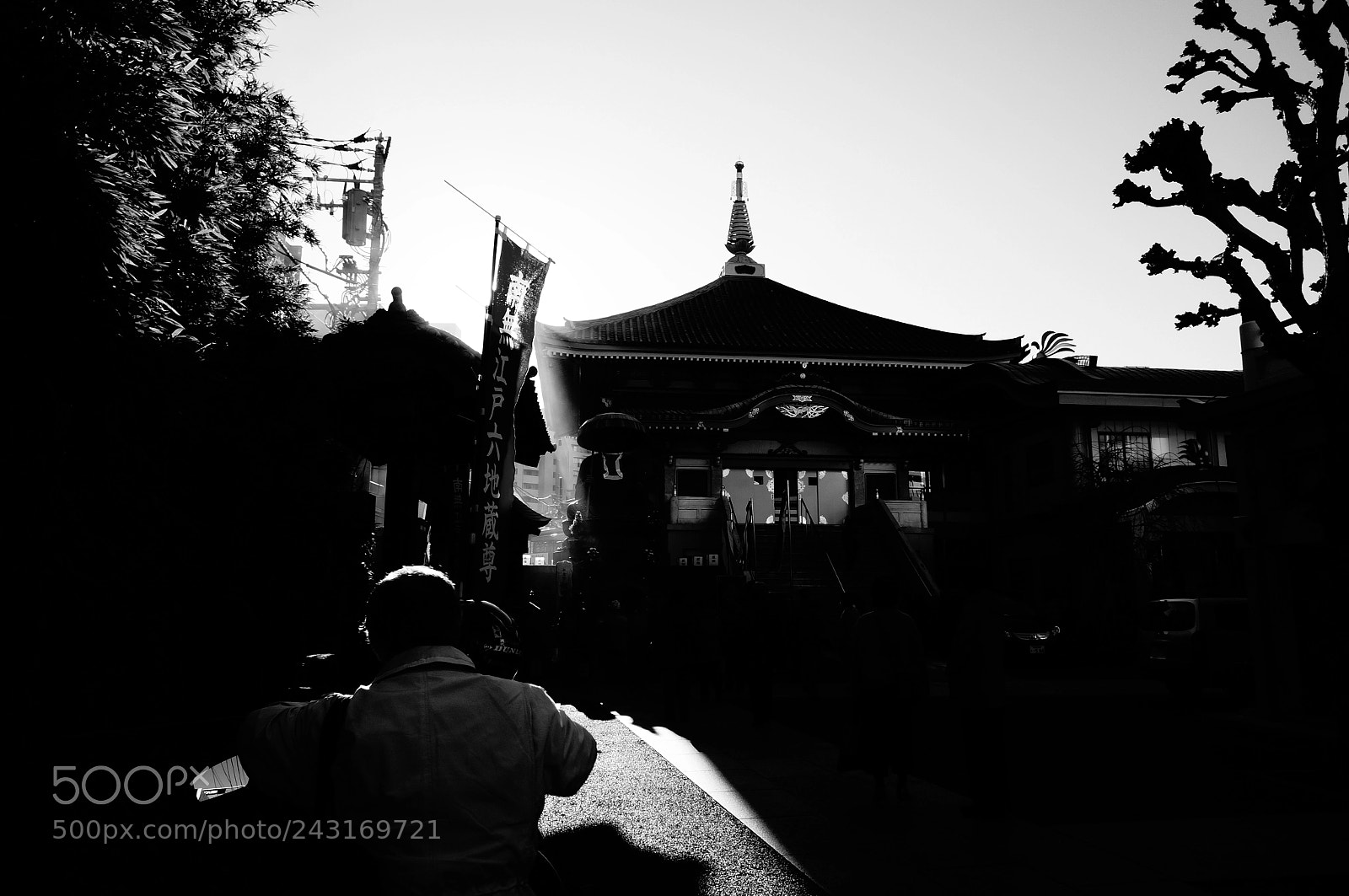 Sony Alpha NEX-5T sample photo. The zizou photography