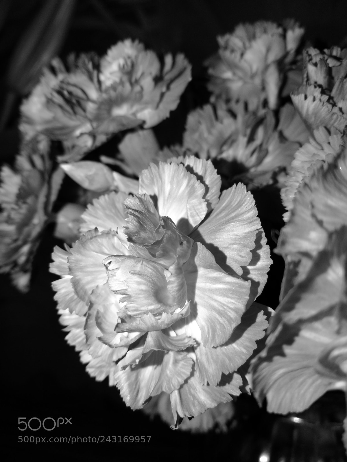 HUAWEI P9 sample photo. Silver years photography
