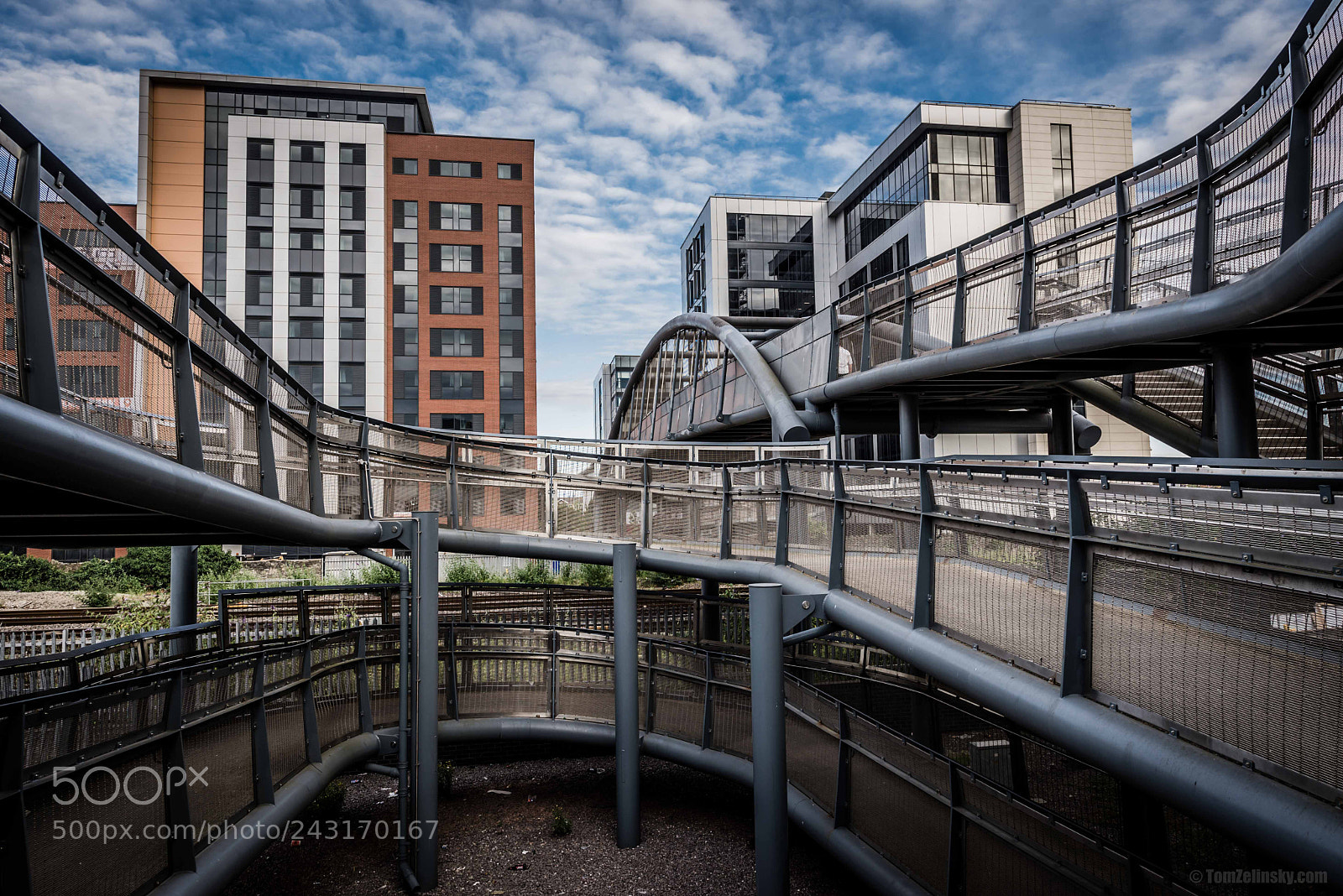 Nikon D610 sample photo. Cardiff photography