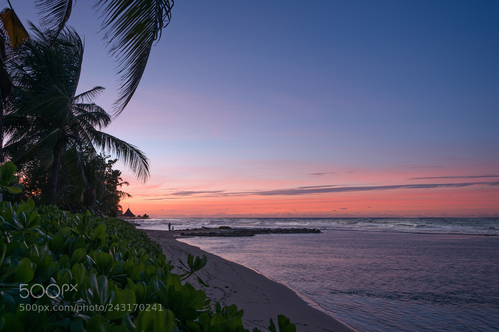 Sony a7R II sample photo. Sunset walk on the photography