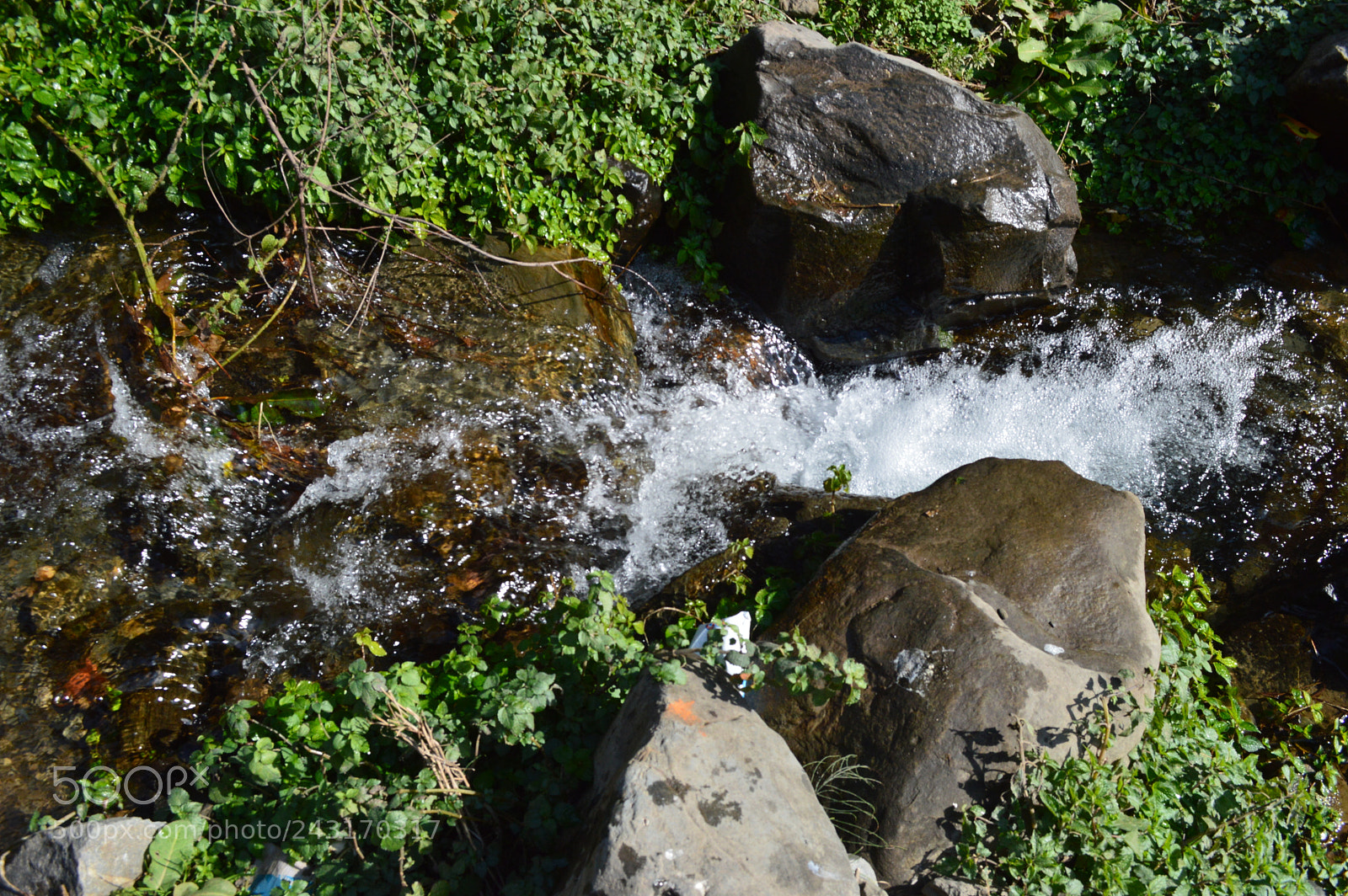 Nikon D3200 sample photo. Dsc photography