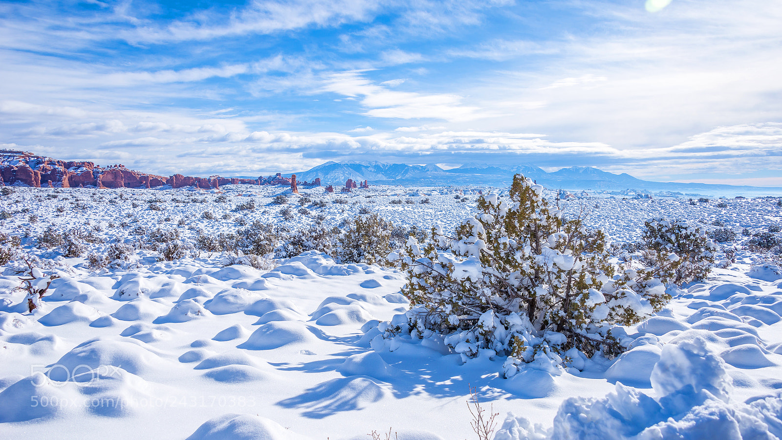 Nikon D610 sample photo. Snow field photography