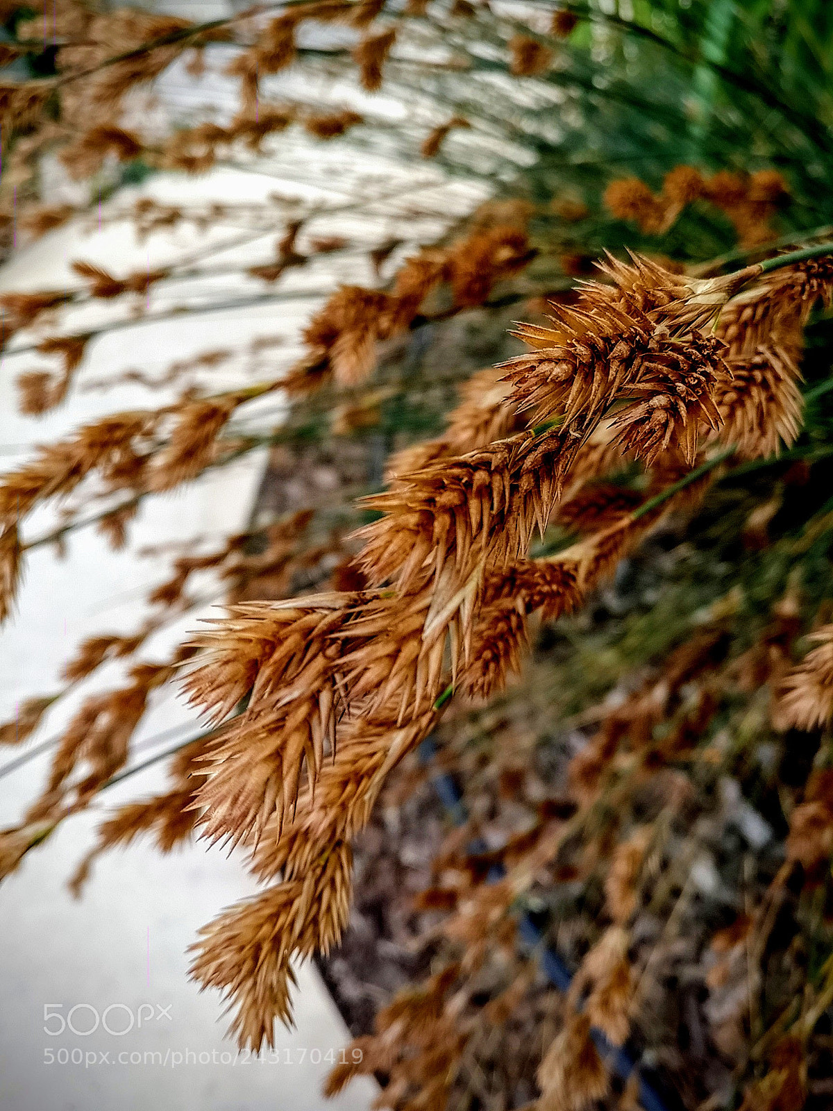 OnePlus A3003 sample photo. Untitled photography