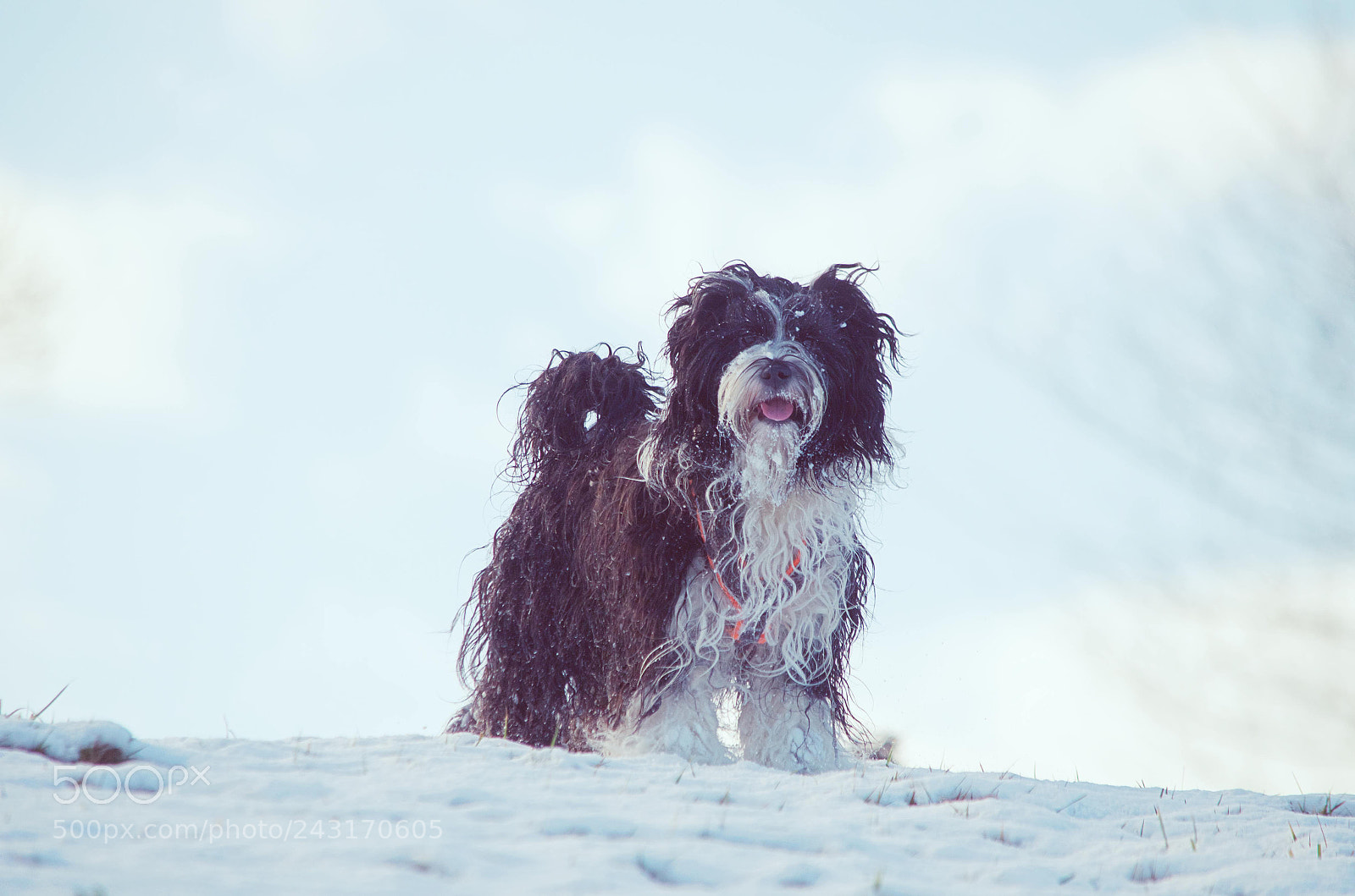Nikon D5100 sample photo. I love snow photography
