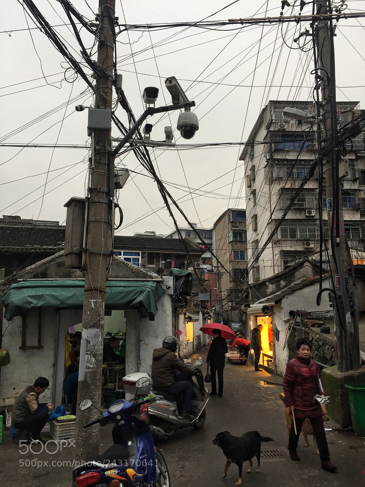 Apple iPhone 6 Plus sample photo. Iphone photo photography