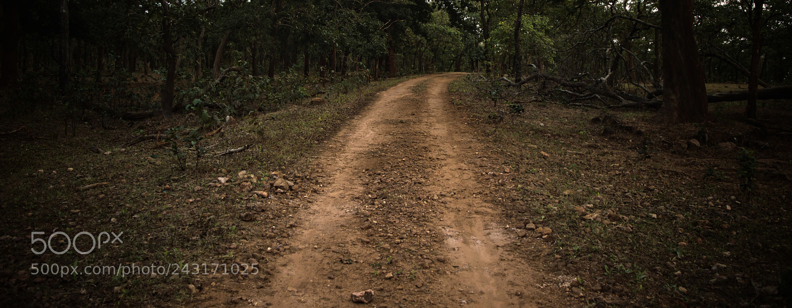 Nikon D3200 sample photo. Untitled photography