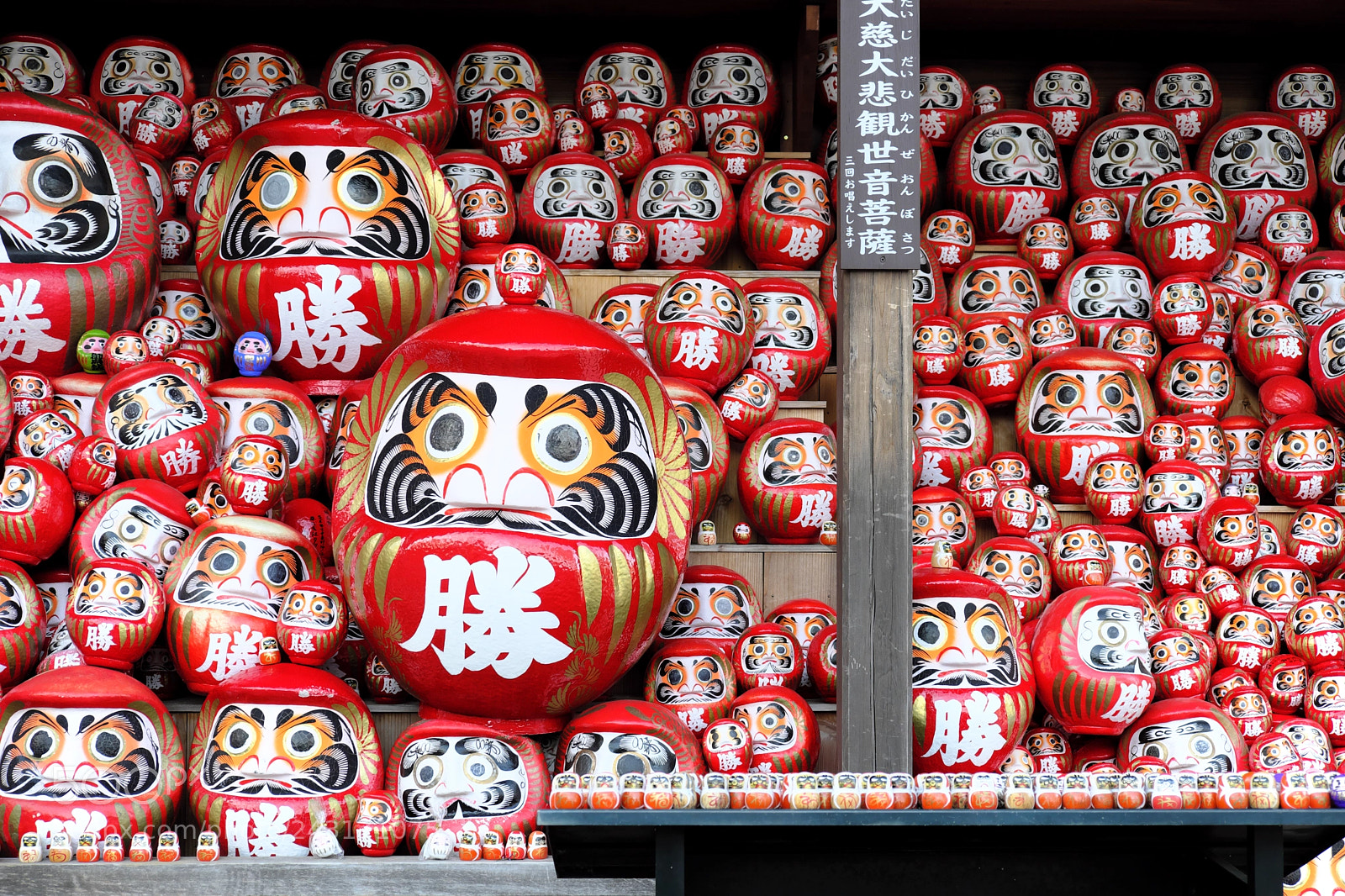 Fujifilm X-T2 sample photo. Daruma photography