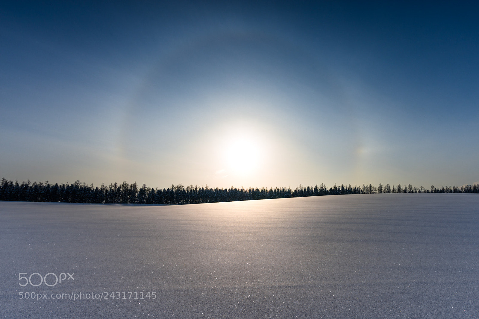 Nikon D800E sample photo. Halo photography
