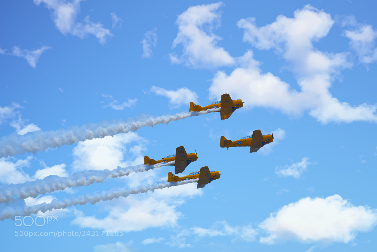 Nikon D810 sample photo. Flying in formation photography