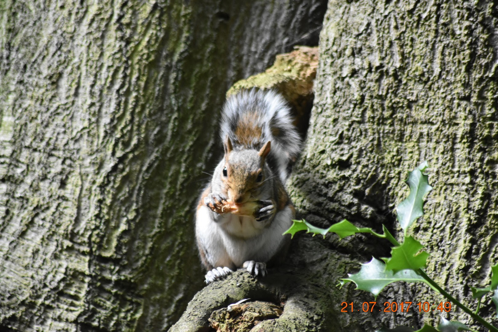 Nikon D3400 + Sigma 70-300mm F4-5.6 APO DG Macro sample photo. Lunch time photography