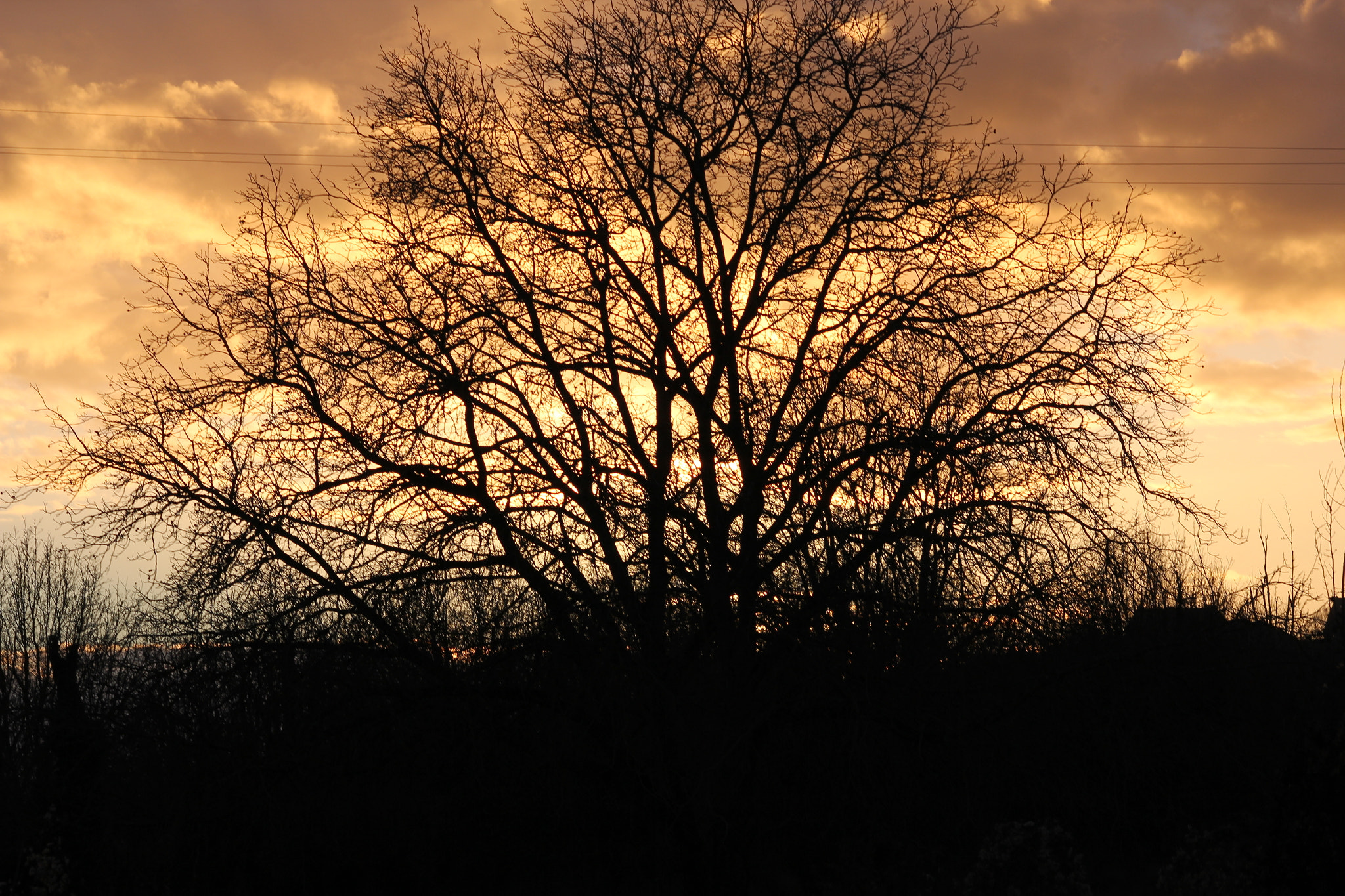 Canon EOS 550D (EOS Rebel T2i / EOS Kiss X4) sample photo. Sun in the south of the france photography