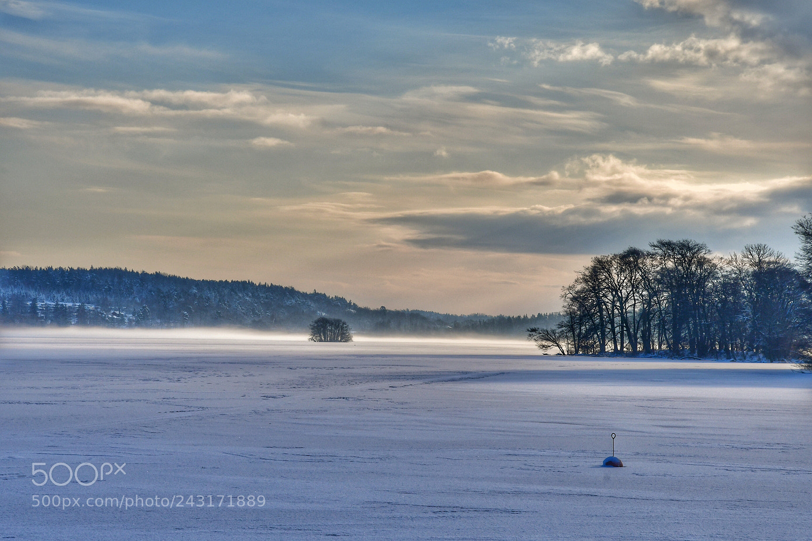 Nikon D500 sample photo. Cold and frosty walk photography