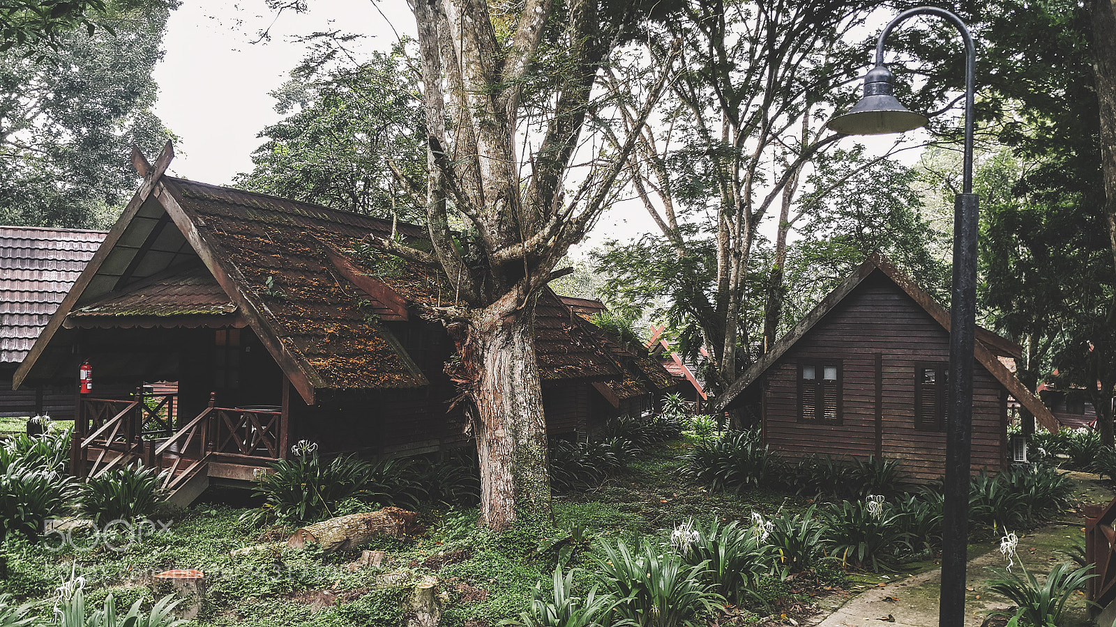 Samsung Galaxy Note4 sample photo. Cottage photography