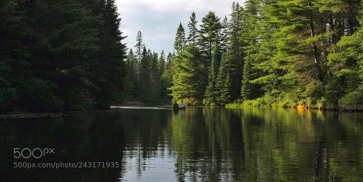 Canon EOS 40D sample photo. Bog lake photography
