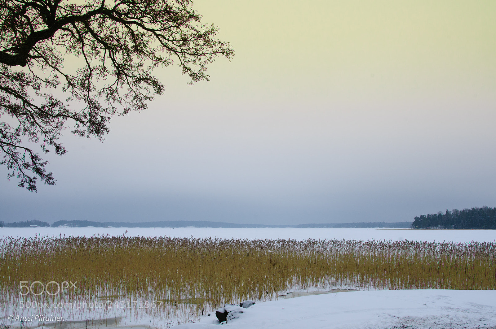 Nikon D300S sample photo. Calm and quiet photography