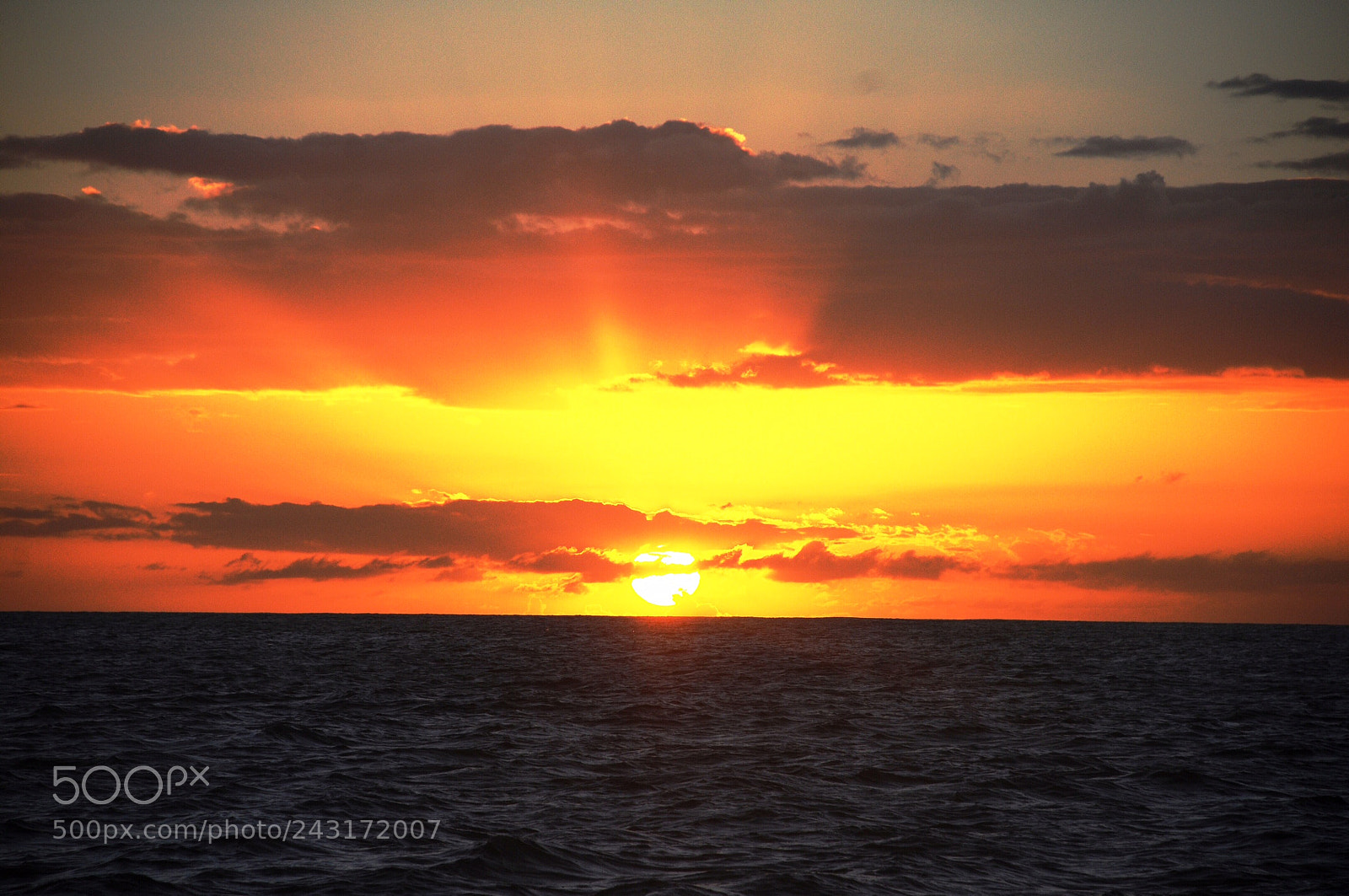 Nikon D300 sample photo. Kaua i sunset photography