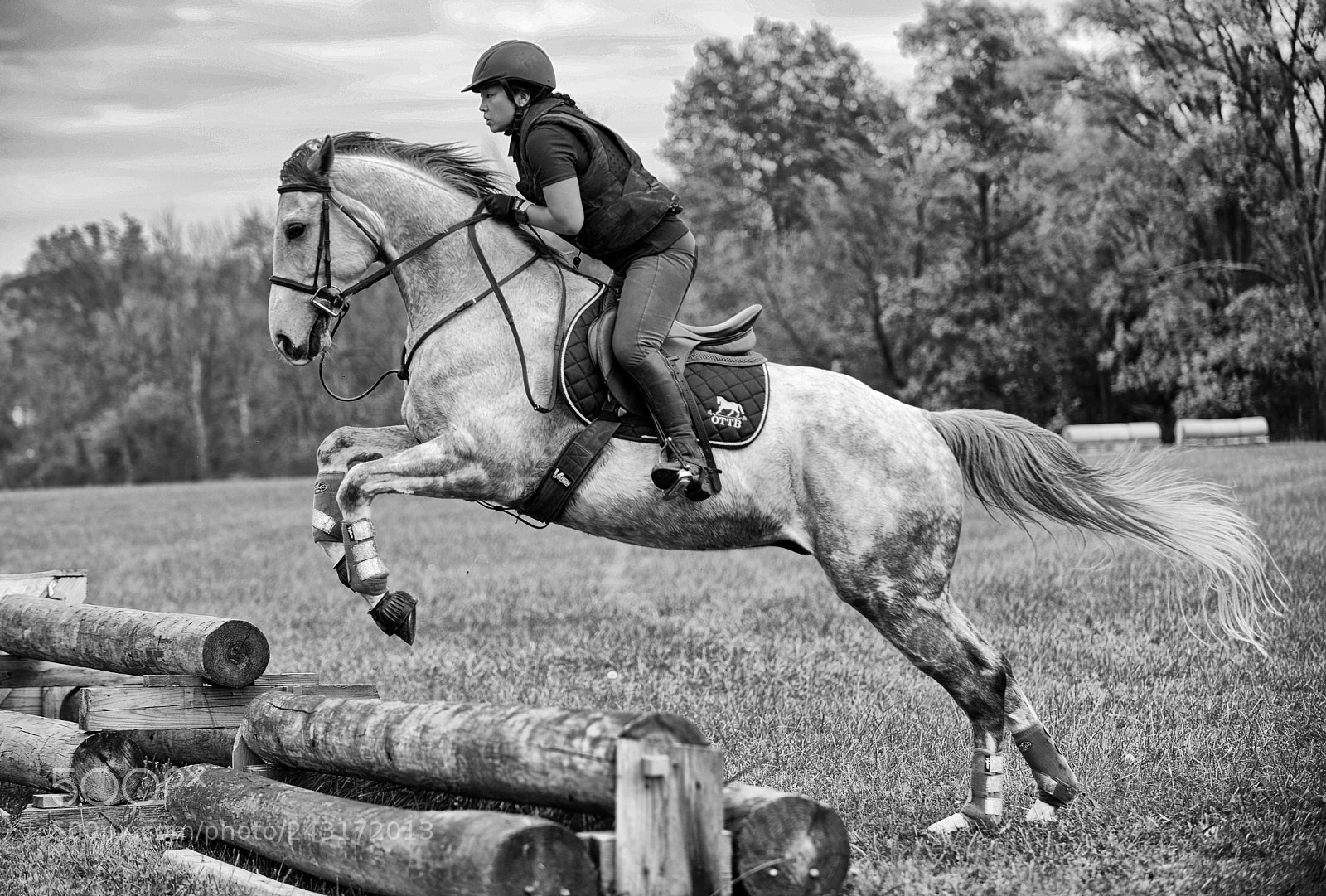 Nikon D600 sample photo. Majestic jump photography