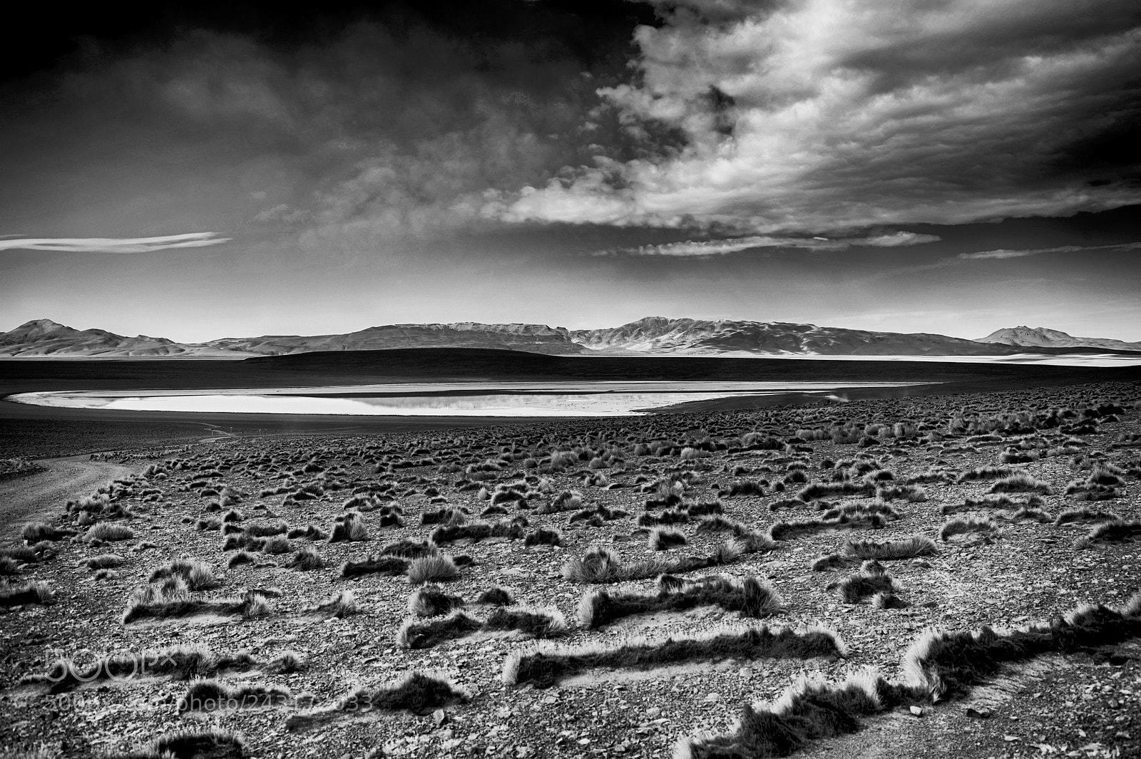 Nikon D700 sample photo. Lagune altiplano photography
