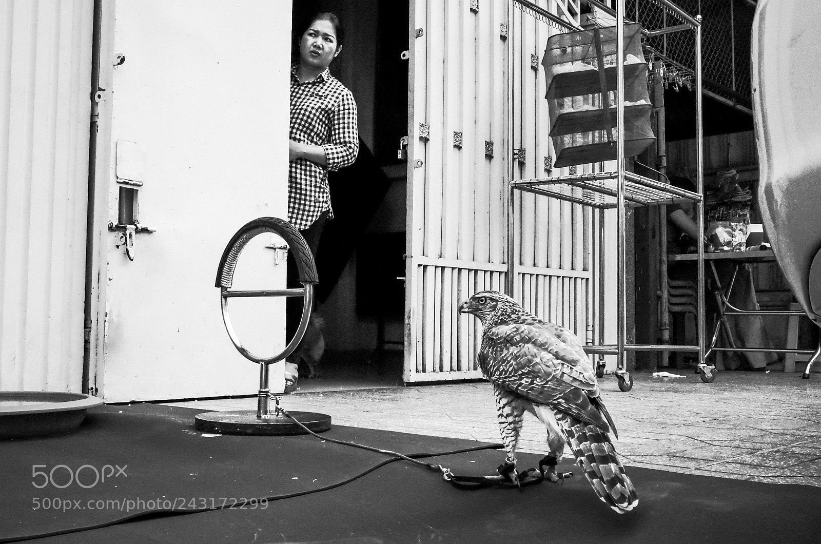 Ricoh GR II sample photo. Phnom penh, cambodia photography